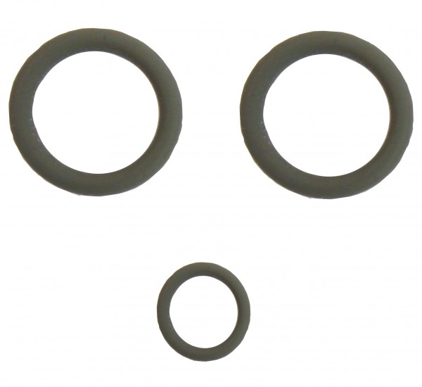 DeLonghi ECAM Kupplung Dichtung Set O-Ring